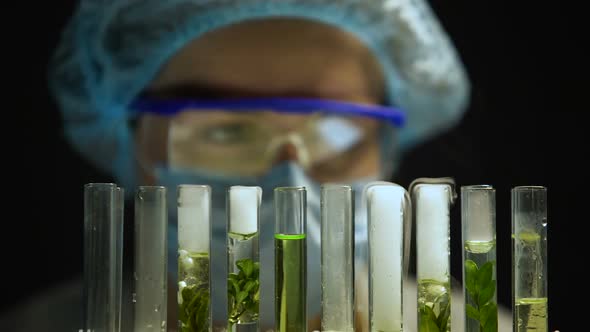 Chemist Observing Reaction in Tubes With Plants, Alternative Fuel Development alt