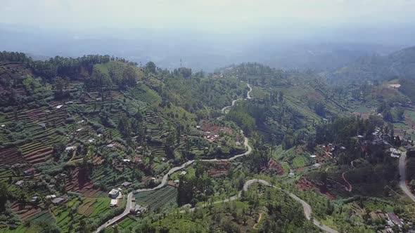 Highland with Green Plantations Small Houses and Serpentine alt