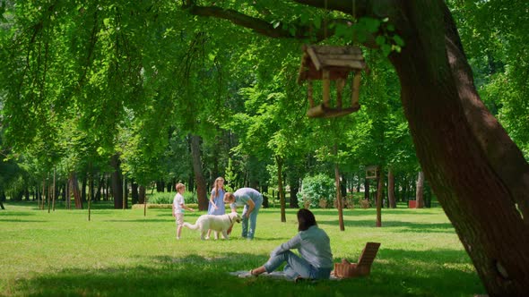 Young Family Have Active Leisure with Dog Outdoors alt