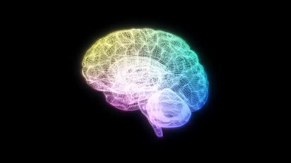 Wire Brain Rotating Loop alt