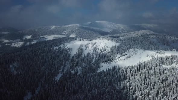 Flying above winter mountain forest. Beautiful aerial landscape. Trees covered with snow alt