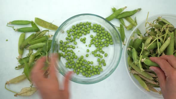 Person shelling home-grown garden pea pods into bowl, top down view alt