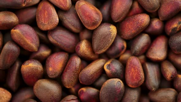 Pine nuts close-up in a circular motion, top view alt