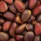 Pine nuts close-up in a circular motion, top view - VideoHive Item for Sale