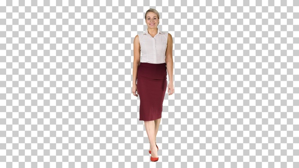 Beautiful sexy brunette woman business office style fashion alt