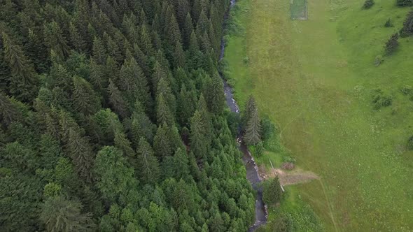 Aerial Forest and Mountain Footage V2 alt