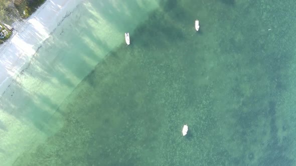 Zanzibar Tanzania  Vertical Video of the Ocean Near the Coast Slow Motion alt