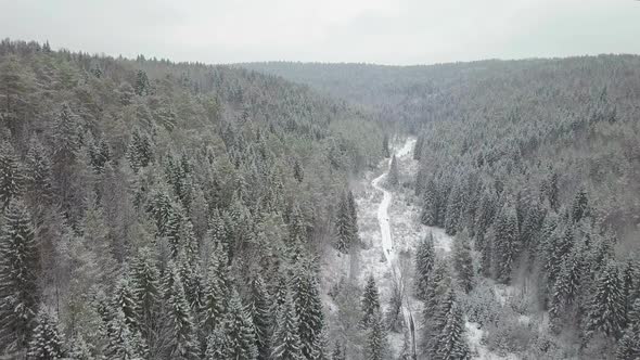 Aerial View of a Winter Woods Snowy Tree Branch in a View of the Winter Forest alt