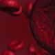 Blood Cells - VideoHive Item for Sale