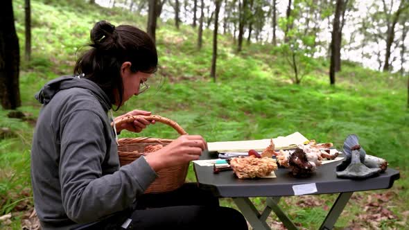 Woman putting mushroom on table in forest with tent alt