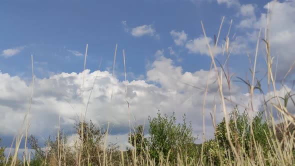 Cloud Timelapse