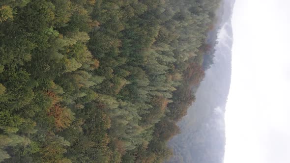 Vertical Video Carpathian Mountains alt