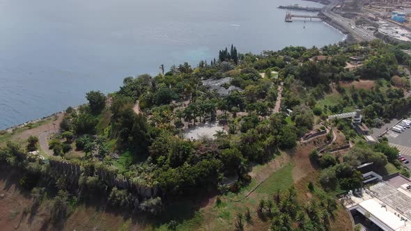 Palmetum Botanical Garden in Santa Cruz de Tenerife, Canary Islands, Spain alt