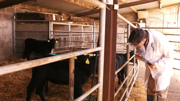 Veterinary physician noting on a clipboard alt