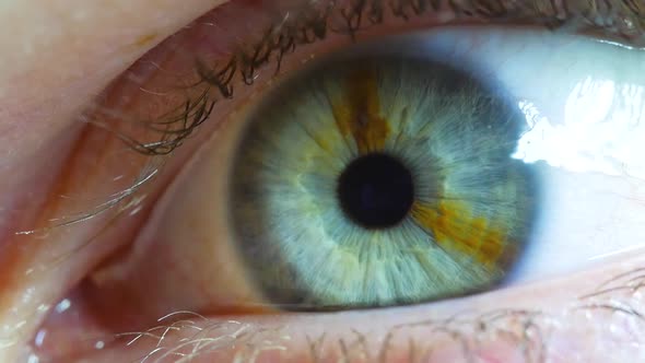 Eye Lid Opening To Reveal Pupil And Iris