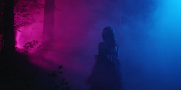 A Girl in a Beautiful Dress is Walking Through the Night Forest