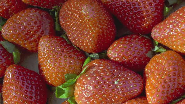 Closeup Shot of Fresh and Tasty Strawberries on a Sunny Day