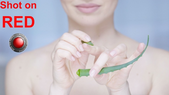 Woman With Pure Clear Skin Holding Green Aloe Vera Leaf Concept Of Skin Care Shot On Red Epic alt