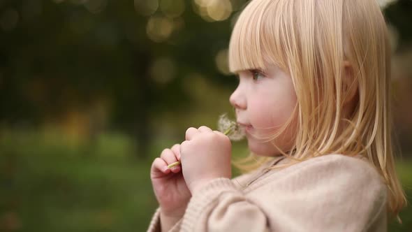 Beautiful Little Baby Girl Blowing on a Dandelion