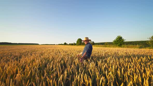 Farmer on agricultural land alt