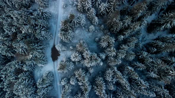 Drone Flying along mountain road in winter forest
