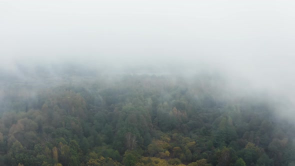 Drone Flies Through Low Rain Clouds Moving Over Fall Colors Treetops of Woodland. Autumn Forest alt