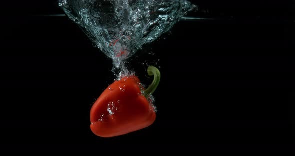 Red Sweet Pepper, capsicum annuum, Vegetable falling into Water against Black Background alt