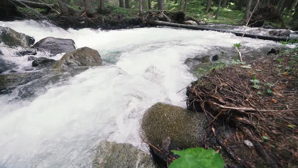 Mountain River with Rocks in Wood Slow Motion Footage Dolomites South Tyrol Italy alt