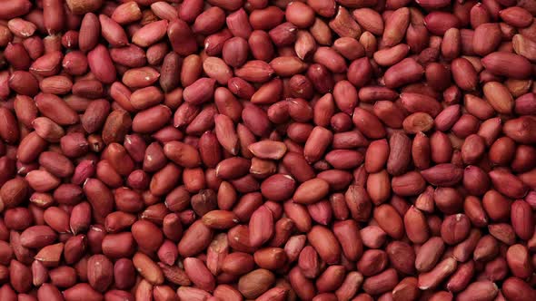 Whole Peanuts top view, rotation. Healthy food concept