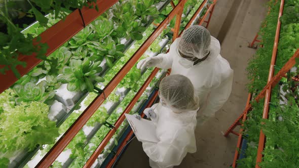 Agroengineers Doing Research Inside Vertical Farm alt