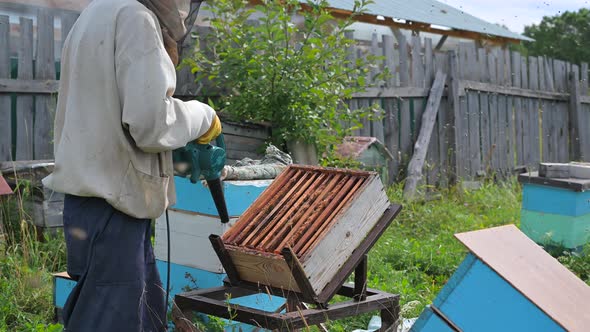 The Beekeeper Blows Out Bees From Hive with Blower To Remove Honeycomb. alt