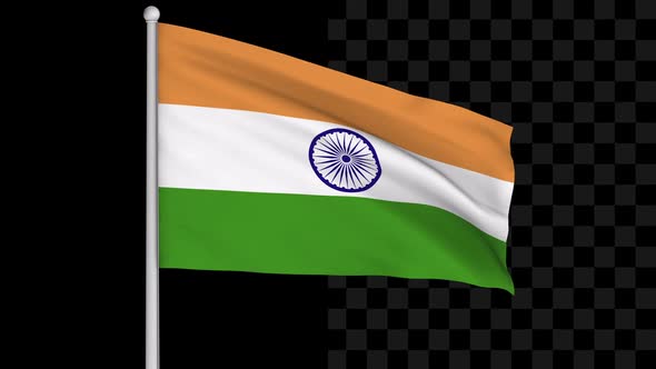 India Flag Loop alt
