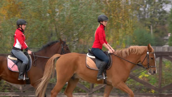 Female Jockeys on Horseback Galloping alt