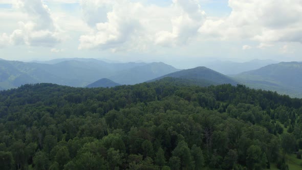 Green forest on mountains of Manzherok under white clouds