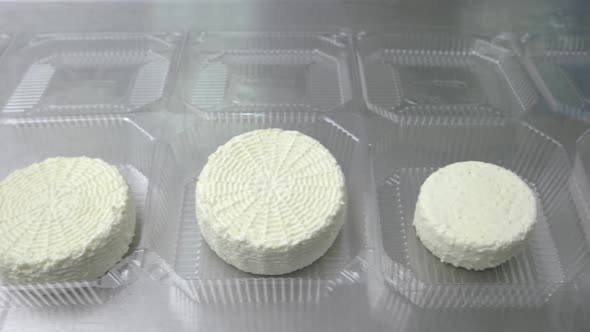 Wheels of Traditional Cottage Cheese alt