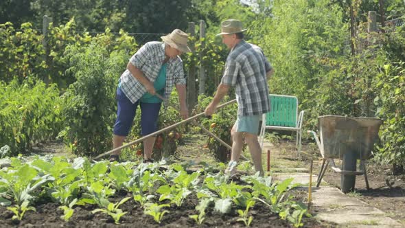 Senior Farming Couple on Field