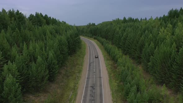 Forest and road aerial view