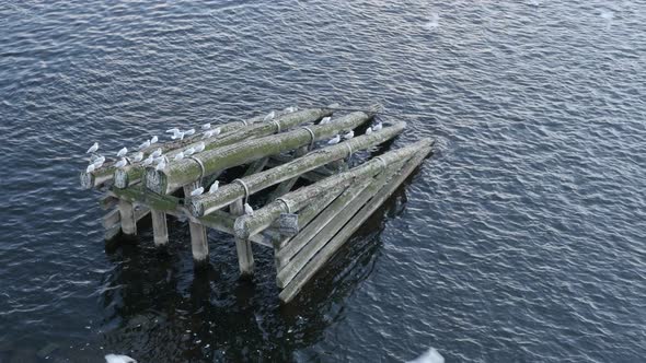 Water wooden barriers in Vltava river near Charles bridge 4K 2160p 30fps UltraHD footage - Czechia c