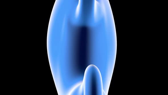 Anatomy visualisation of a human stomach alt