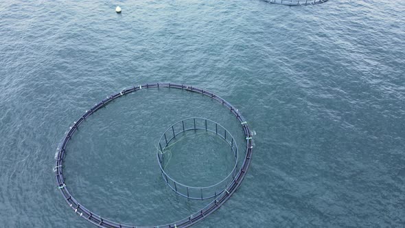 Fish Farming Unit of Sea Bass and Sea Bream in Growing Cages in Sea alt