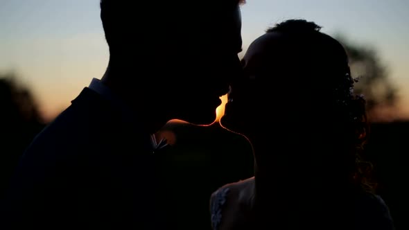 The Love of Two Lovers to the Sunset the End of Love Story alt