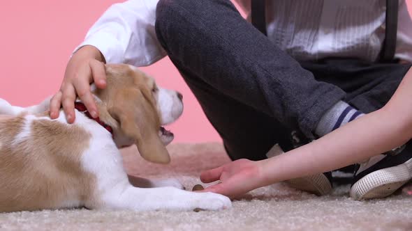 Kids Stroking and Feeding Puppy, New Family Pet, Birthday Gift for Children alt