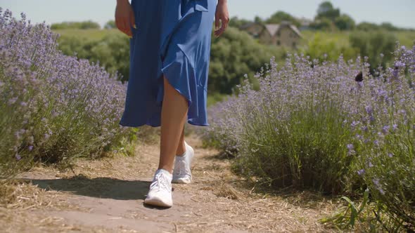 Feet of Woman Stepping Slowly in Lavender Field alt
