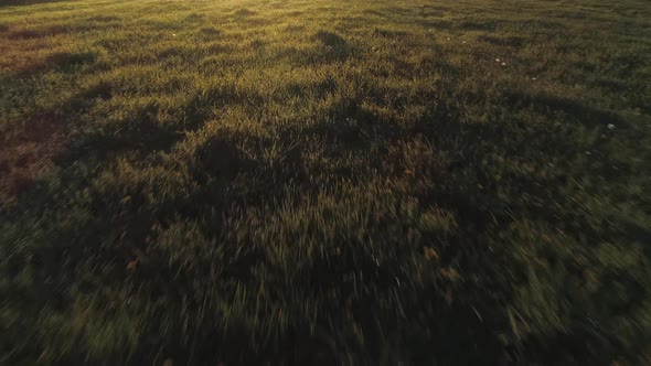 Low aerial above grass field with dreamy golden sunshine alt