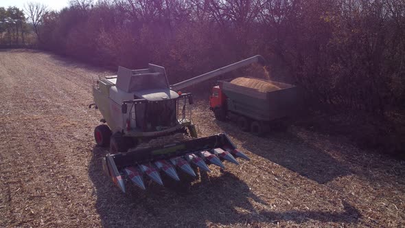 harvester unloads grain into a truck, tilt down, Ukraine