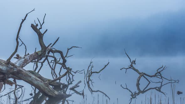 Early Morning Fog and Mist Above a Quiet Lake in Lithuania alt