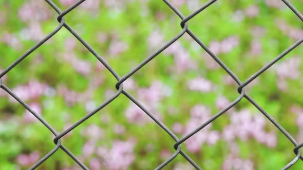 Wire Fence alt
