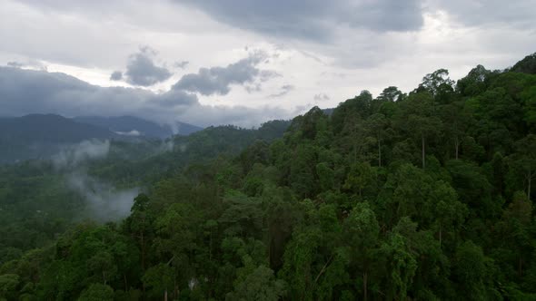Aerial Drone Shot of Foggy Rainforest Mountains in Thailand Monsoon Season