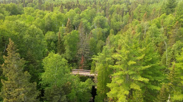Aerial view of superior national forest during summer months, Minnesota north shore alt