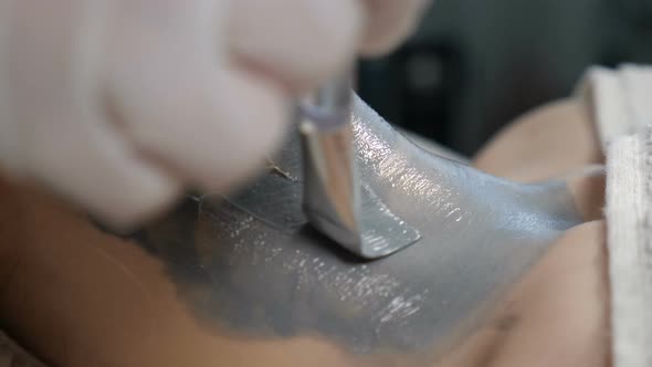 Close-up Shot of Beautician Applying Beauty Mask on Female Neck. Cosmetology, Face Care Concept alt